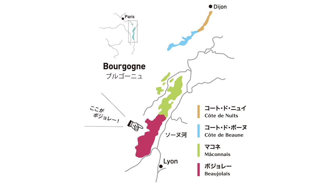 注目を集めているボジョレー地区 クリュ デュ ボジョレーを解説 エノテカ ワインの読み物