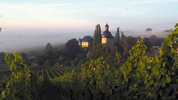 12/1(月)～12/7(日)　スタッフ山岸おすすめ！ フランス・アルザス＆ドイツを巡る、奥深いリースリングの世界