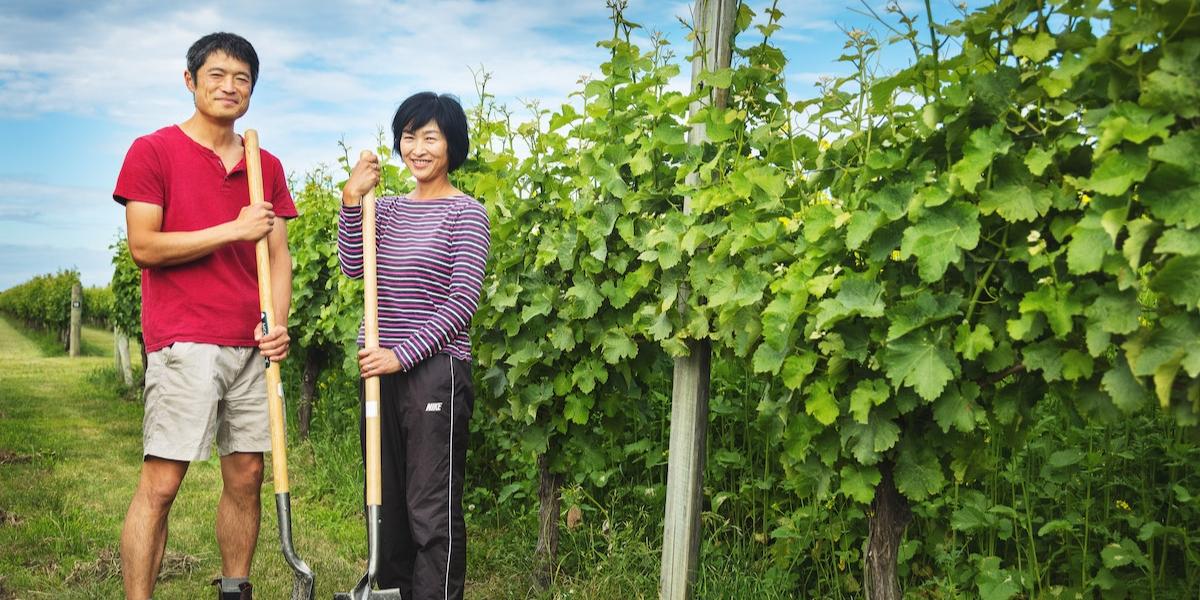 キムラ・セラーズ / KIMURA CELLARS