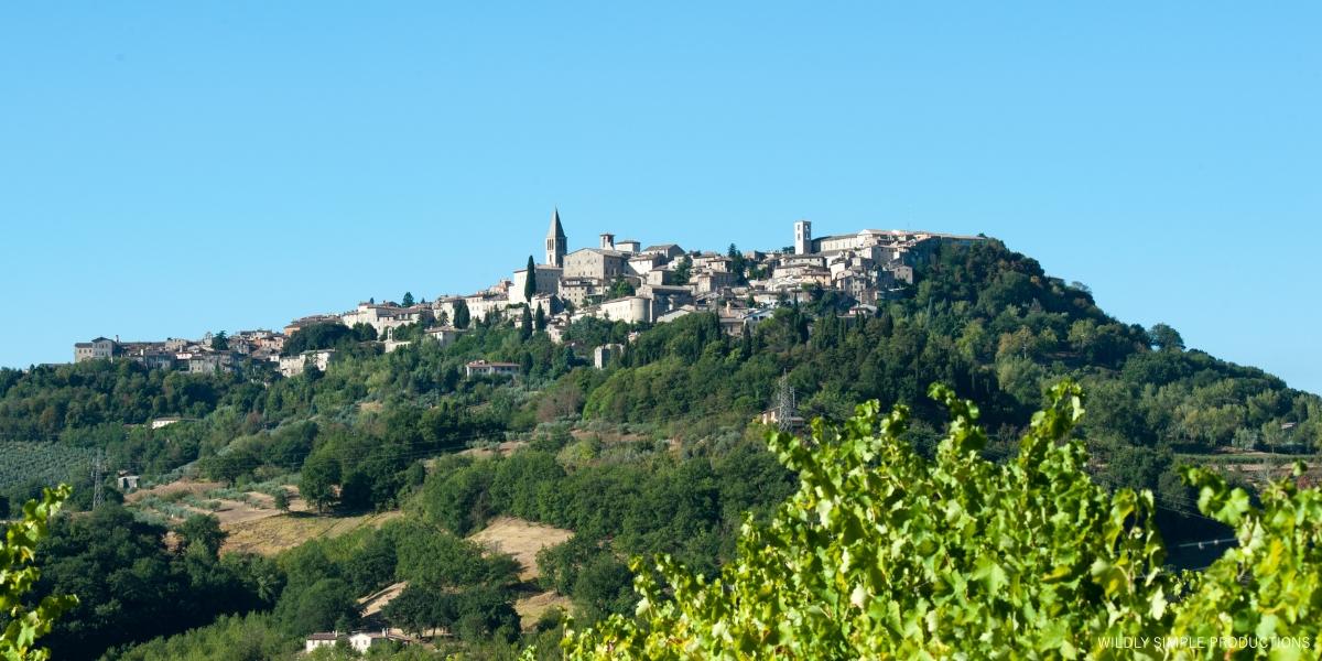 カンティーナ・トゥデルナム / CANTINA TUDERNUM