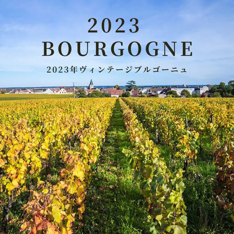 ブルゴーニュ2023年ヴィンテージ