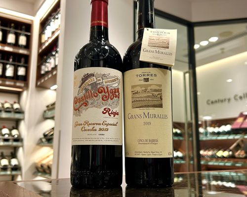 ブログメイン画像