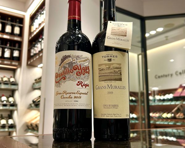 メインブログ画像