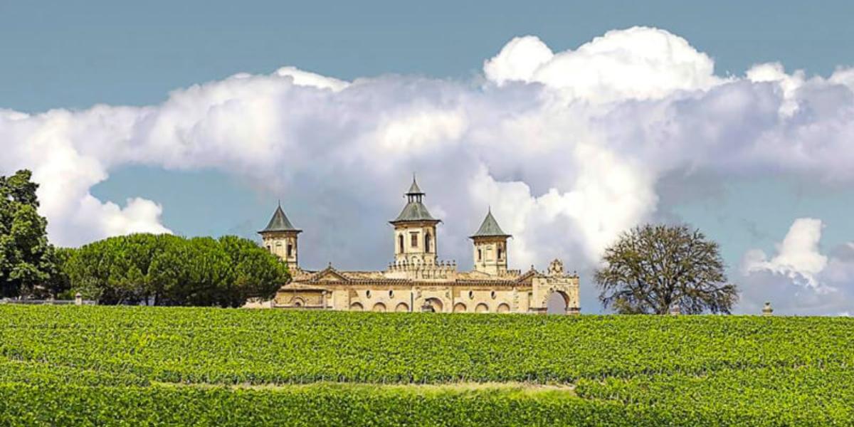 ミシェル・レィビエ / MICHEL REYBIER