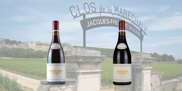 12月26日（金）～ジャン・フレデリック・ミュニエ　特級畑比較２グラスセット