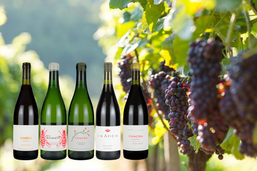 ブログメイン画像