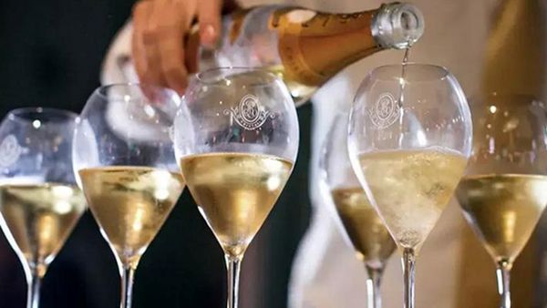 ルイ・ロデレール コレクション 245・246 比較テイスティング