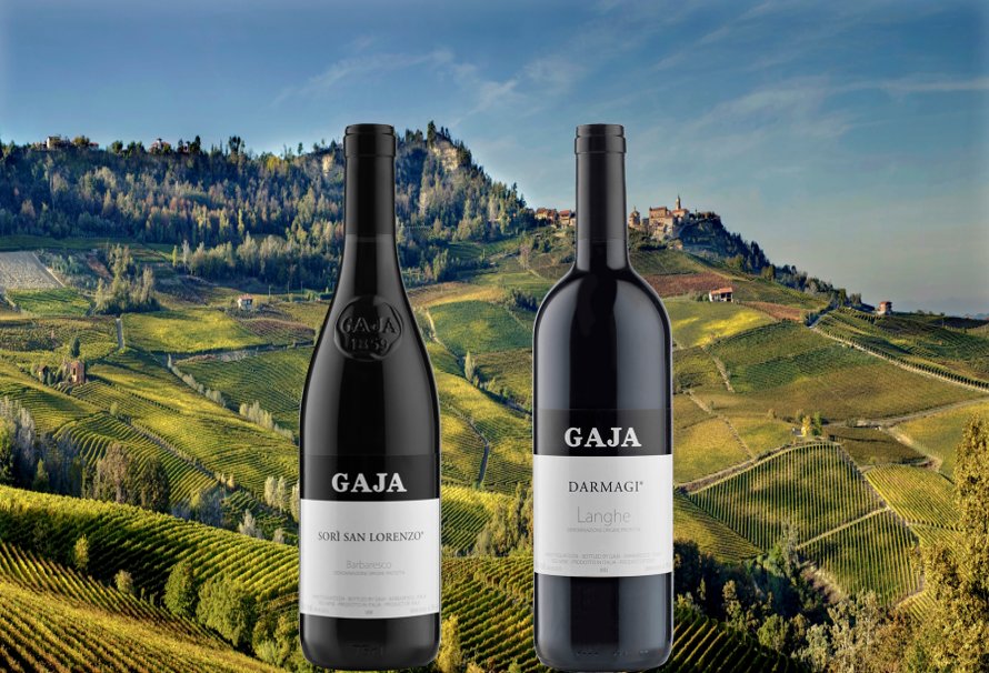2015年 イタリアワインの帝王ガヤ』2銘柄飲み比べスペシャル