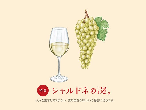 シャルドネの謎。