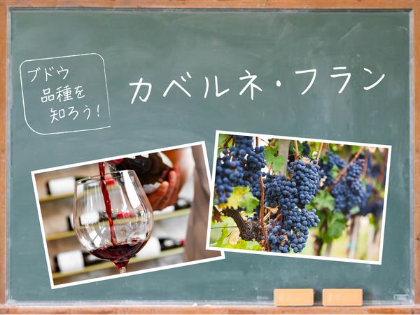 【ブドウ品種を知ろう】カベルネ・フランとは？
