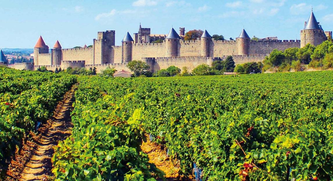 【ラングドック・ルーション】3月ペアリングディナーイベントご予約開始のご案内