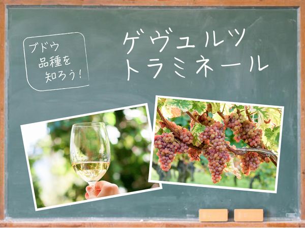 【ブドウ品種を知ろう】ゲヴュルツトラミネールとは？
