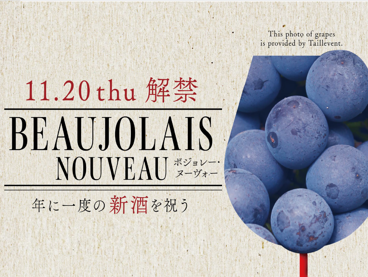 ブログメイン画像