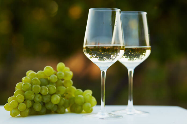 白ワインの楽しみ方をブドウ品種と共に知るテイスティング