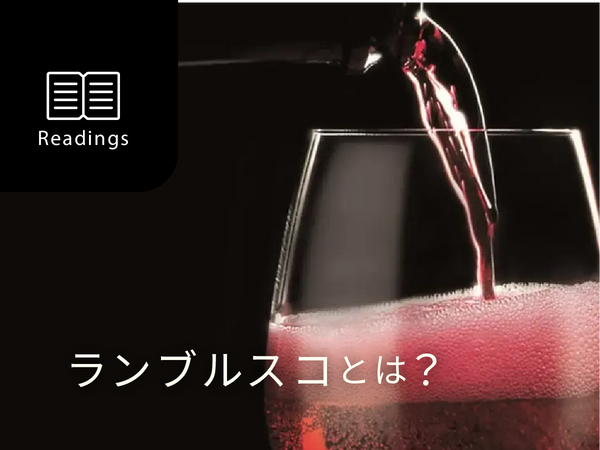 【ソムリエ解説】ランブルスコとは？種類と選び方を徹底解説
