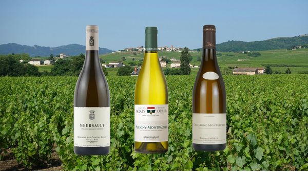 【大名古屋ビルヂング店10周年特別テイスティング】ブルゴーニュの３大白ワインを知るための３種テイスティング