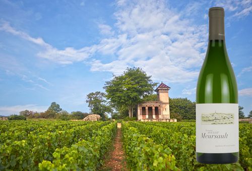 ブログメイン画像