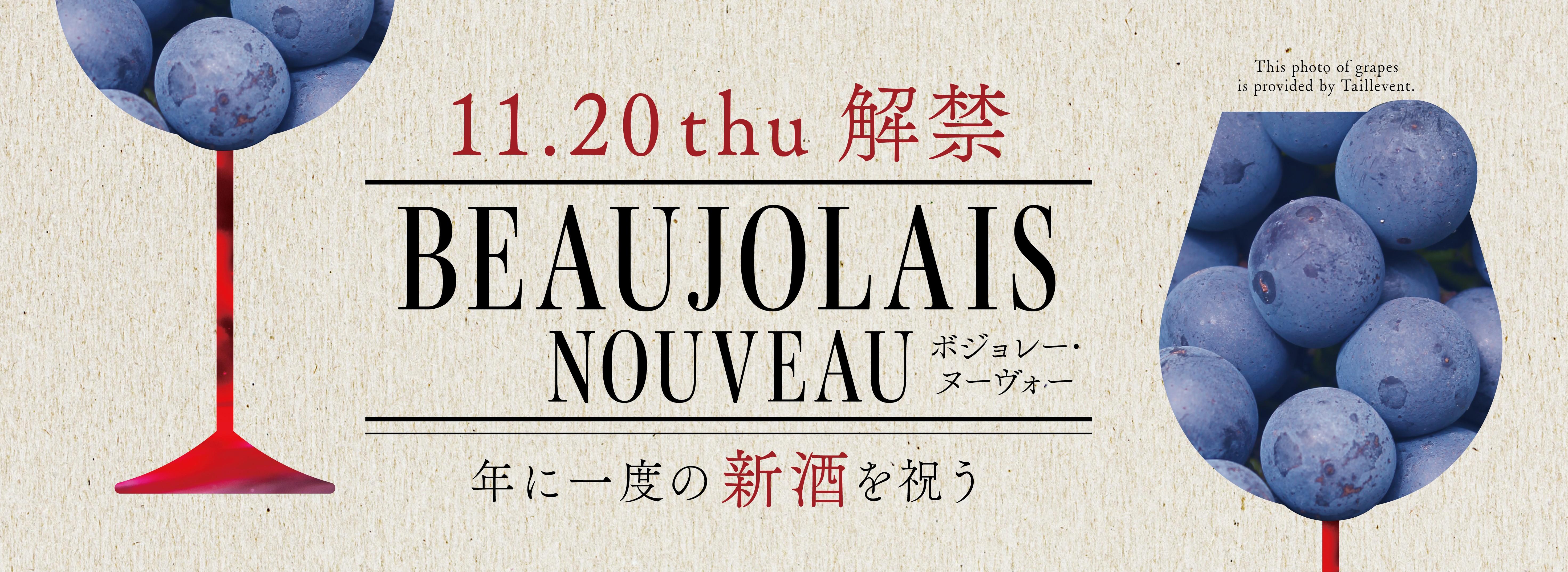 ブログメイン画像