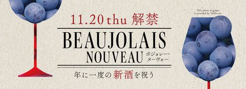 ブログメイン画像