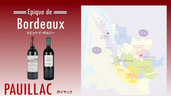 Epique de Bordeaux「エピック・ド・ボルドー」