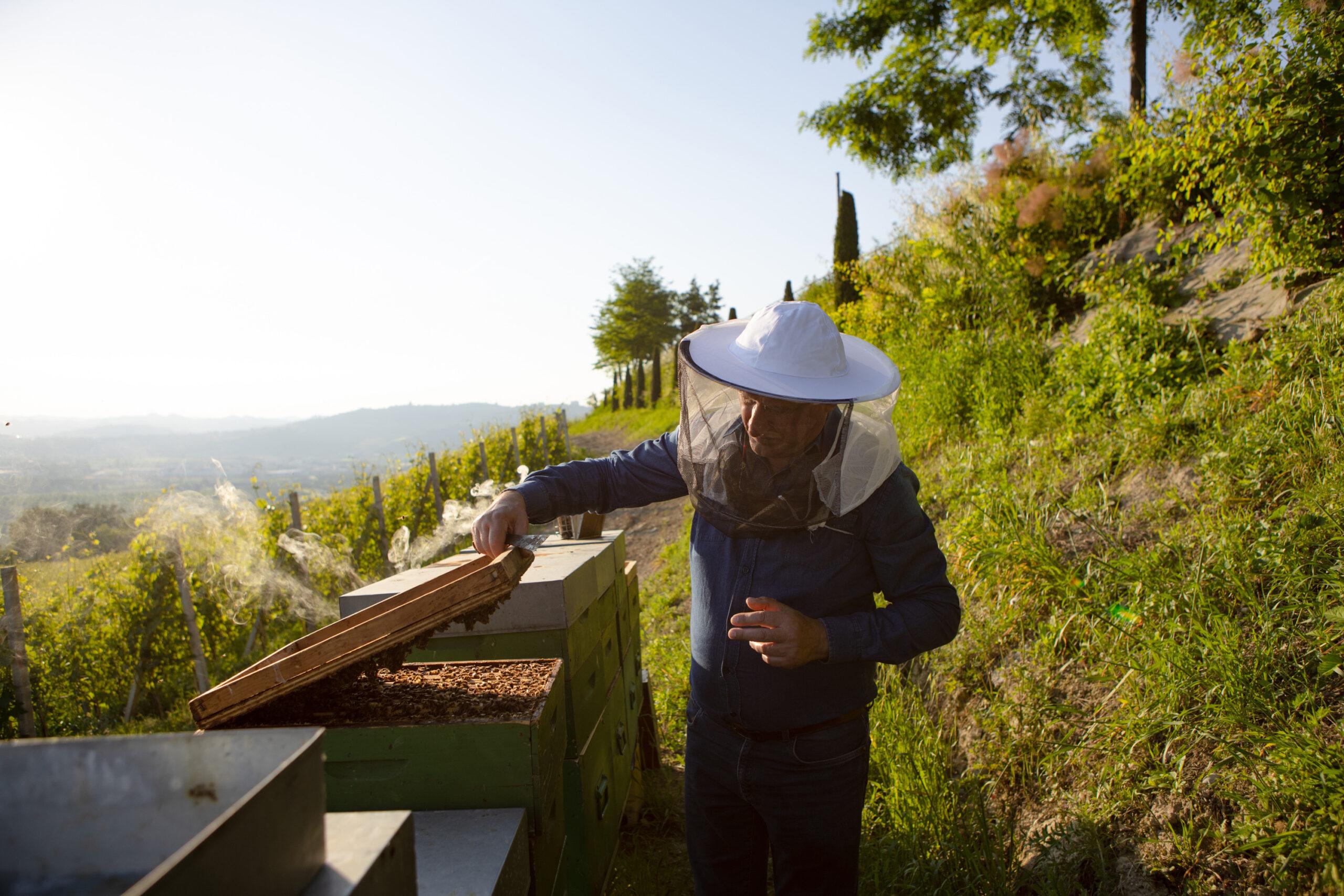 養蜂家のクラウディオ・カウダ氏