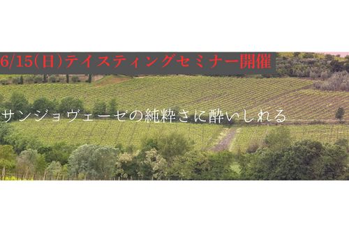 ブログメイン画像
