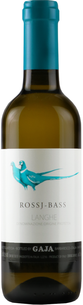 プロ・パーカッショニスト仕様：Brazil-Raul社Pro・Repinique プロ・パーカッショニスト仕様：Brazil-Raul社Pro・Repinique