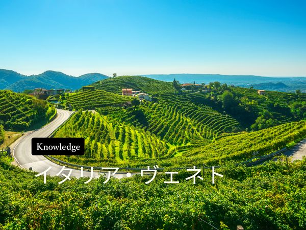 ワイン産地を知ろう！ヴェネト