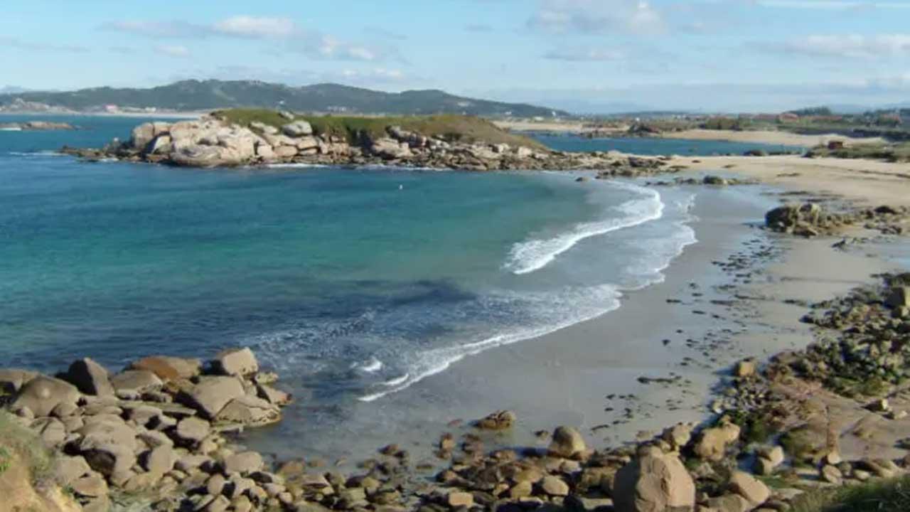 海