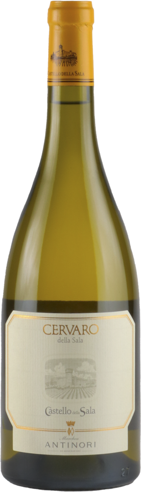 チェルヴァロ・デッラ・サラ / カステッロ・デッラ・サラ | エノテカ