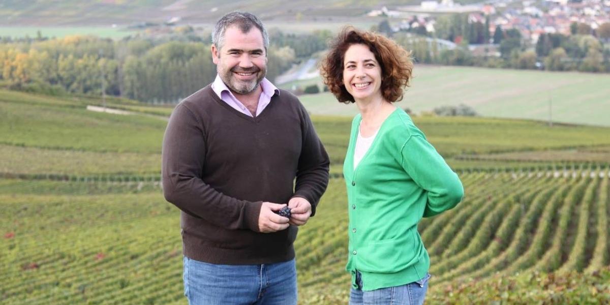 タルラン / TARLANT