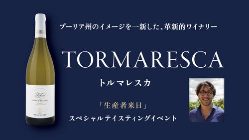 ブログメイン画像
