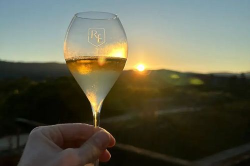 ブログメイン画像