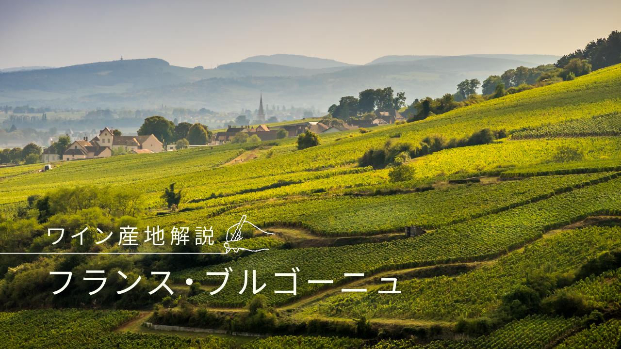 ブルゴーニュ
