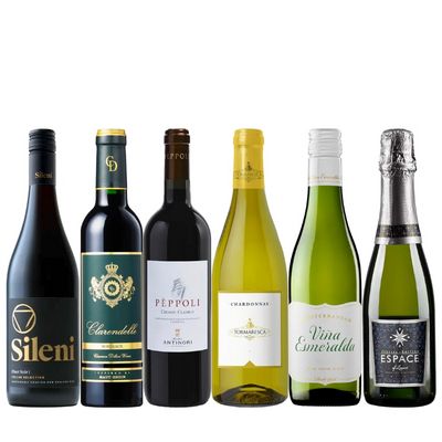 気軽に楽しめる！ハーフボトルセレクト6本セット RD1-1 [375ml x 6