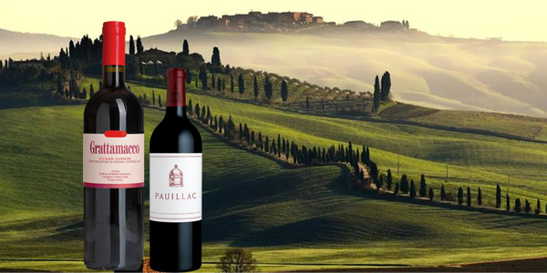 グラッタマッコの魅力に迫る ~ボルドーと飲み比べ~