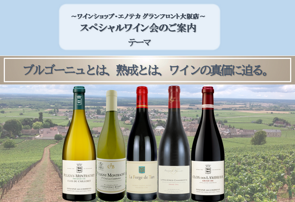 スペシャルワイン会 「ブルゴーニュとは、熟成とは、ワインの真価に迫る。」