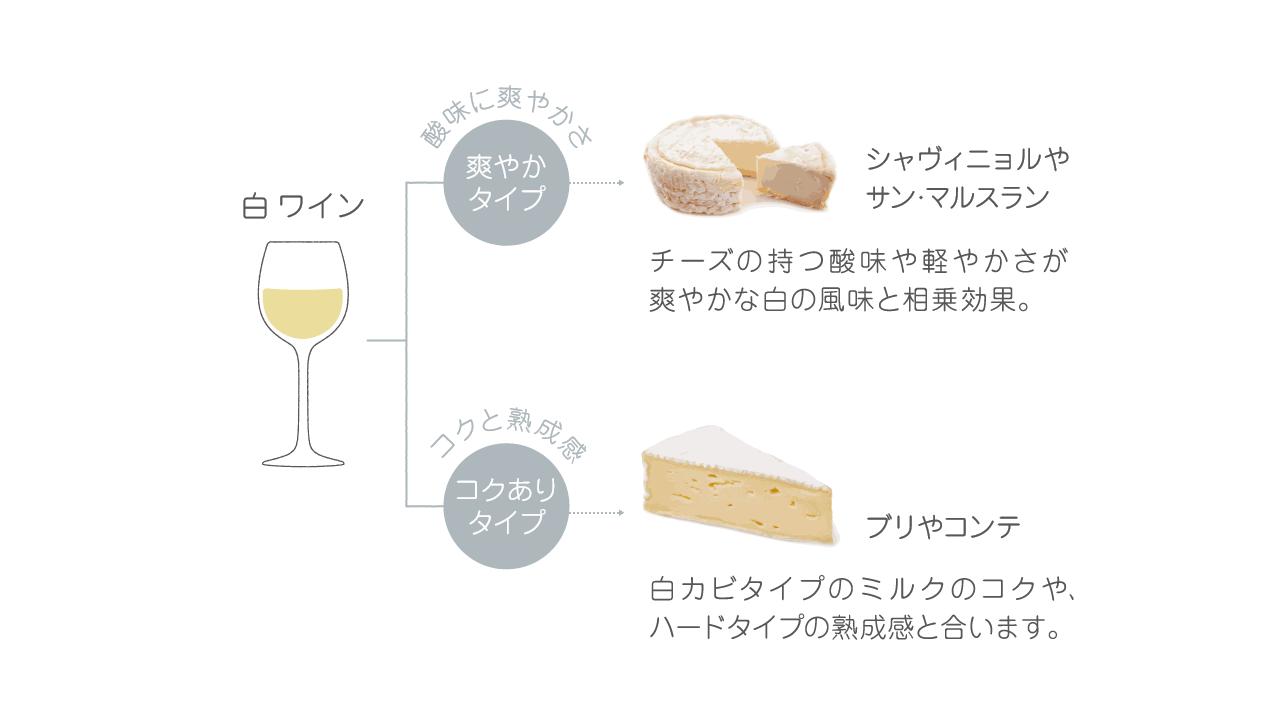 ワインとチーズの組み合わせチャート　白ワイン