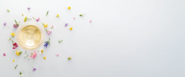 ルイ・ロデレール / LOUIS ROEDERER