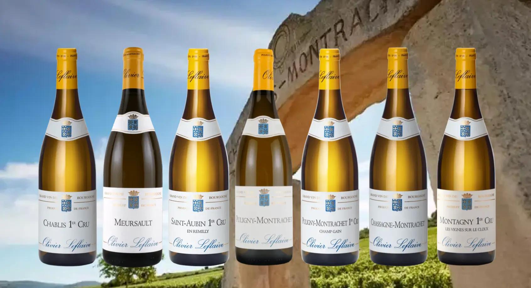 ブログメイン画像