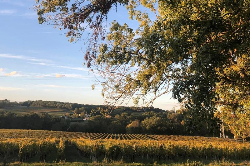 シャトー・デ・ゼサール / CHATEAU DES EYSSARDS