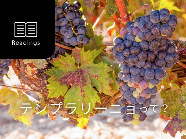 【ブドウ品種を知ろう】テンプラニーリョとは？