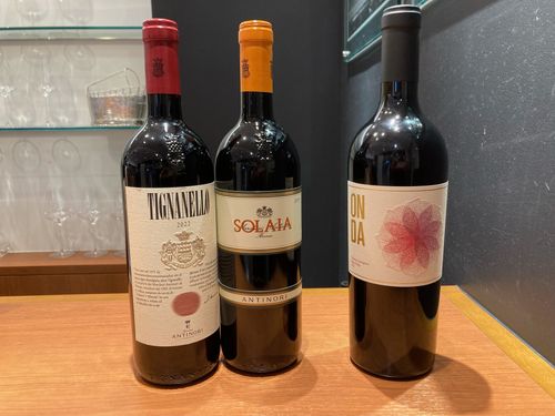 ブログメイン画像