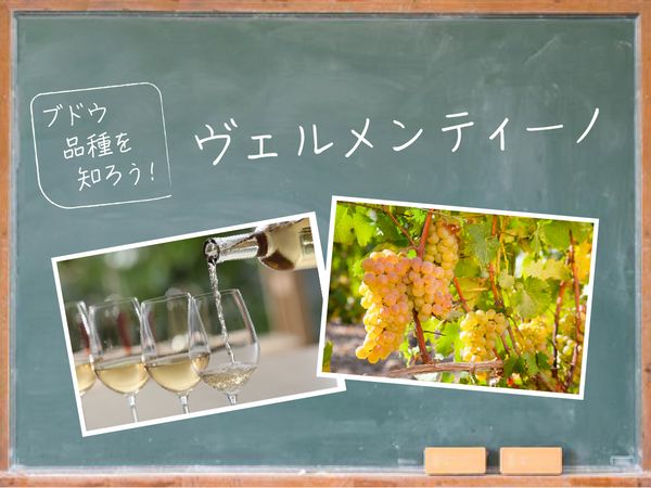 【ブドウ品種を知ろう】ヴェルメンティーノとは？