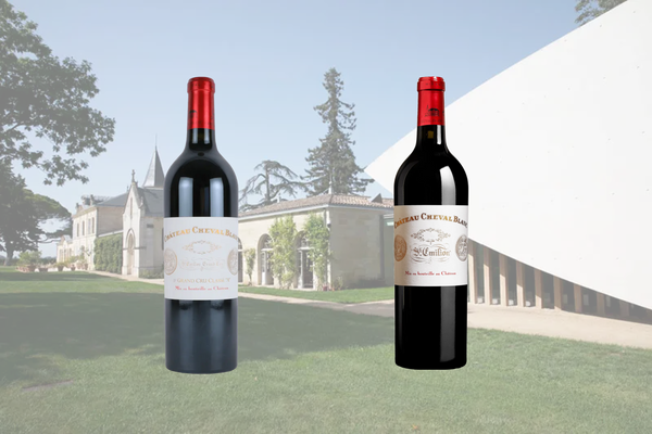 1月23日（金）～シュヴァル・ブラン　2012・2022　比較ヴィンテージ　２グラスセット