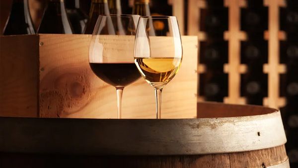 【2部（15:00開始）】豪華赤白14種テイスティング「ブルゴーニュ・クルーズ」