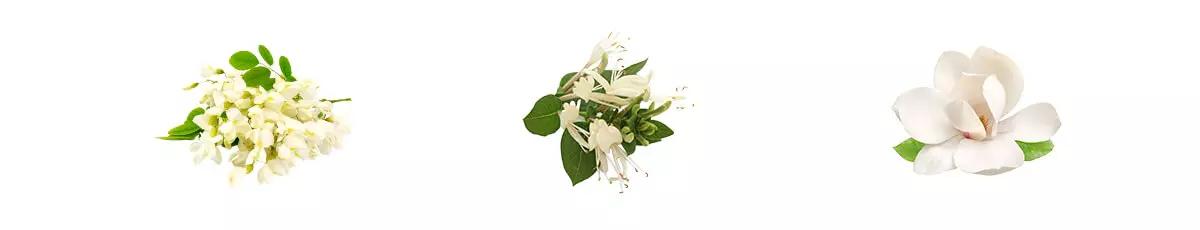白ワイン香り_花