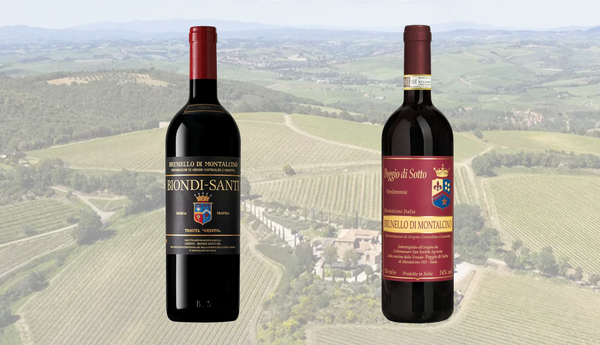 4月24日(金)～ブルネッロ・ディ・モンタルチーノ 2019 2グラスセット