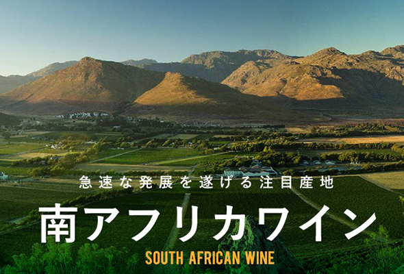 南アフリカワイン - 急速な発展を遂げる注目産地