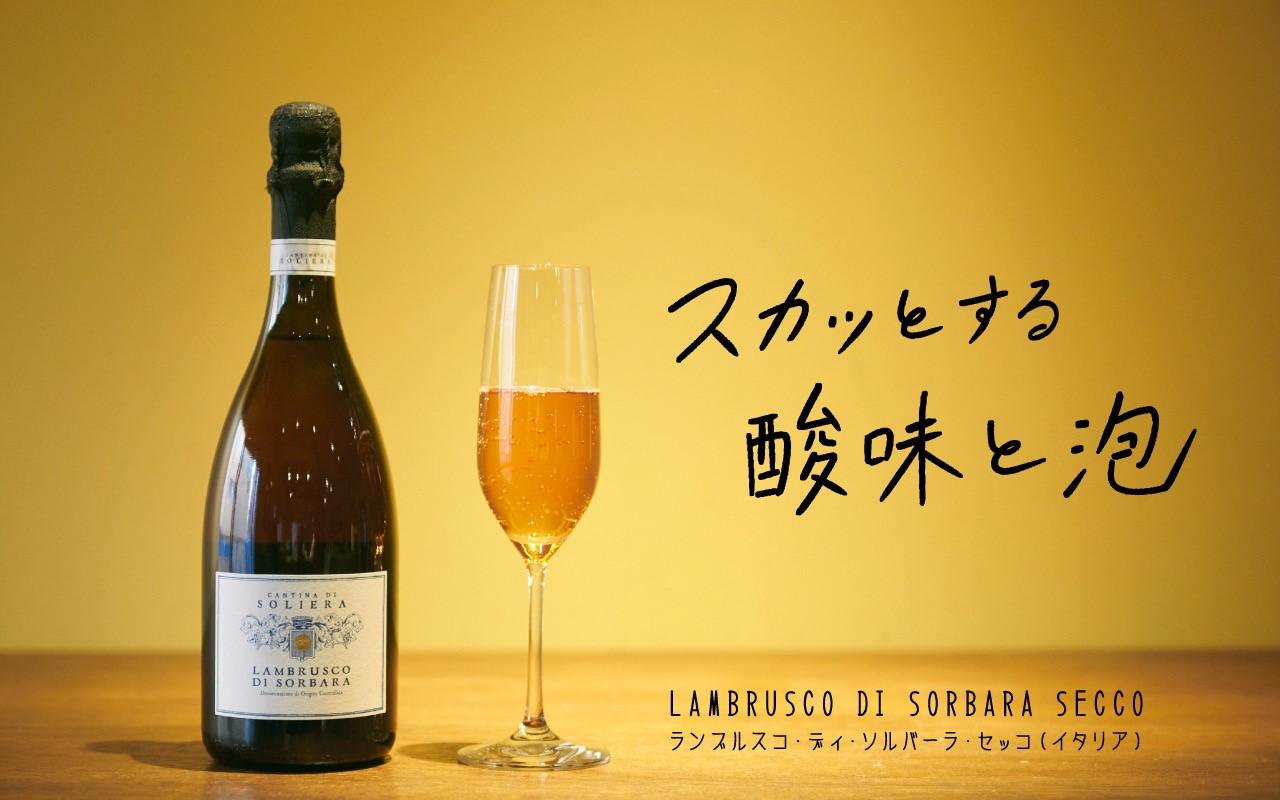 ランブルスコ・ディ・ソルバーラ・セッコ